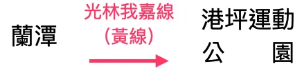 餐桌上的小花園
